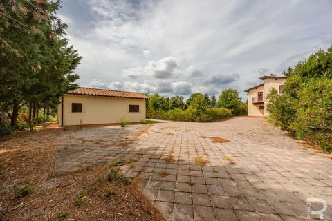 Farm hus i Scansano, Grosseto, Scansano - € 400.000 | Ref: R06667SCCA-1326072 - foto 13