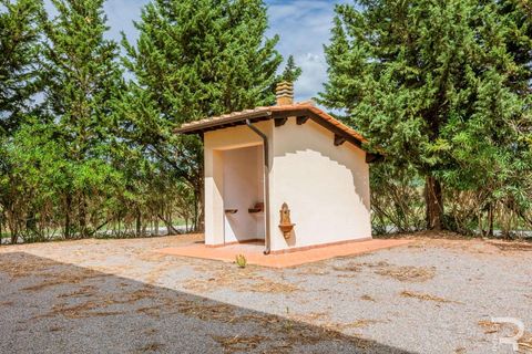 Farm hus i Scansano, Grosseto, Scansano - € 400.000 | Ref: R06667SCCA-1326072 - foto 18
