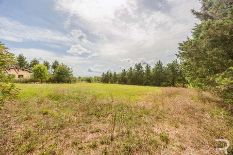 Farm hus i Scansano, Grosseto, Scansano - € 400.000 | Ref: R06667SCCA-1326072 - foto 23