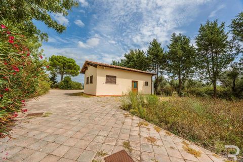 Farm hus i Scansano, Grosseto, Scansano - € 400.000 | Ref: R06667SCCA-1326072 - foto 28