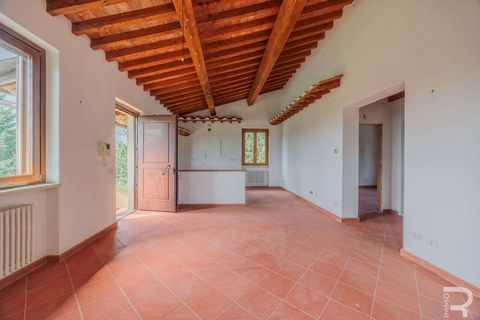 Farm hus i Scansano, Grosseto, Scansano - € 400.000 | Ref: R06667SCCA-1326072 - foto 32