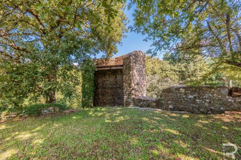 Farm hus i Capolona, Arezzo, Capolona - € 425.000 | Ref: R06655CARU-1326486 - foto 29