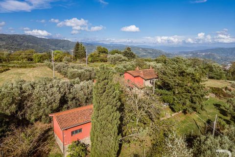 Masia a Uzzano, Pistoia, Uzzano - € 499.000 | Ref: R06647UZCA-1326671 - foto 2