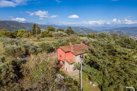 Masia a Uzzano, Pistoia, Uzzano - € 499.000 | Ref: R06647UZCA-1326671 - foto 3