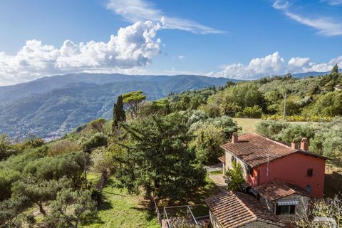 Masia a Uzzano, Pistoia, Uzzano - € 499.000 | Ref: R06647UZCA-1326671 - foto 4