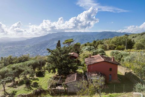 Masia a Uzzano, Pistoia, Uzzano - € 499.000 | Ref: R06647UZCA-1326671 - foto 5