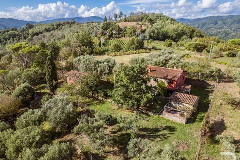 Masia a Uzzano, Pistoia, Uzzano - € 499.000 | Ref: R06647UZCA-1326671 - foto 9
