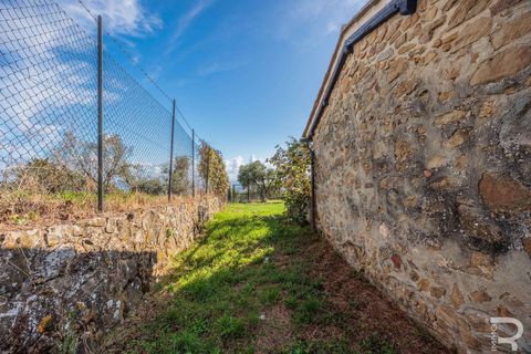 Masia a Uzzano, Pistoia, Uzzano - € 499.000 | Ref: R06647UZCA-1326671 - foto 22