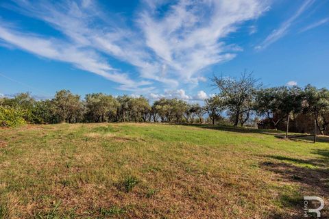 Masia a Uzzano, Pistoia, Uzzano - € 499.000 | Ref: R06647UZCA-1326671 - foto 29