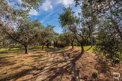 Masia a Uzzano, Pistoia, Uzzano - € 499.000 | Ref: R06647UZCA-1326671 - foto 30