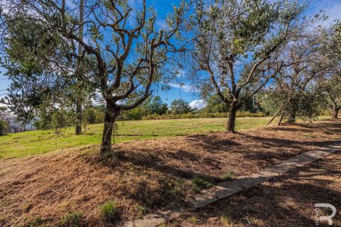 Masia a Uzzano, Pistoia, Uzzano - € 499.000 | Ref: R06647UZCA-1326671 - foto 31