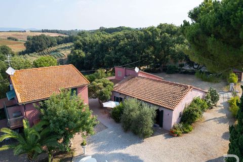 Landejendom i Bibbona, Livorno, Bibbona - € 1.750.000 | Ref: R06615BIAG-1326921 - foto 5