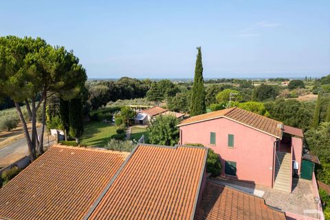 Landejendom i Bibbona, Livorno, Bibbona - € 1.750.000 | Ref: R06615BIAG-1326921 - foto 8