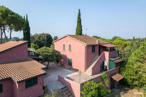 Landejendom i Bibbona, Livorno, Bibbona - € 1.750.000 | Ref: R06615BIAG-1326921 - foto 10