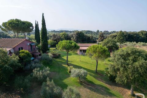 Landejendom i Bibbona, Livorno, Bibbona - € 1.750.000 | Ref: R06615BIAG-1326921 - foto 12