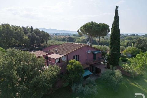 Landejendom i Bibbona, Livorno, Bibbona - € 1.750.000 | Ref: R06615BIAG-1326921 - foto 13
