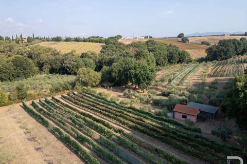 Landejendom i Bibbona, Livorno, Bibbona - € 1.750.000 | Ref: R06615BIAG-1326921 - foto 14