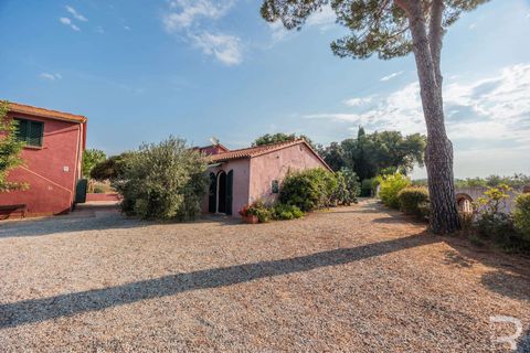 Landejendom i Bibbona, Livorno, Bibbona - € 1.750.000 | Ref: R06615BIAG-1326921 - foto 17