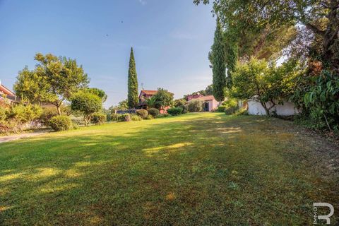 Landejendom i Bibbona, Livorno, Bibbona - € 1.750.000 | Ref: R06615BIAG-1326921 - foto 22
