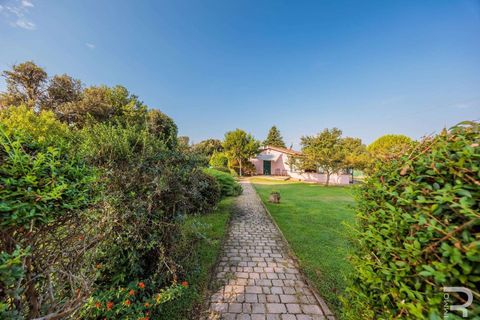 Landejendom i Bibbona, Livorno, Bibbona - € 1.750.000 | Ref: R06615BIAG-1326921 - foto 23