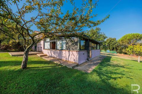 Landejendom i Bibbona, Livorno, Bibbona - € 1.750.000 | Ref: R06615BIAG-1326921 - foto 24