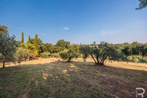 Landejendom i Bibbona, Livorno, Bibbona - € 1.750.000 | Ref: R06615BIAG-1326921 - foto 27