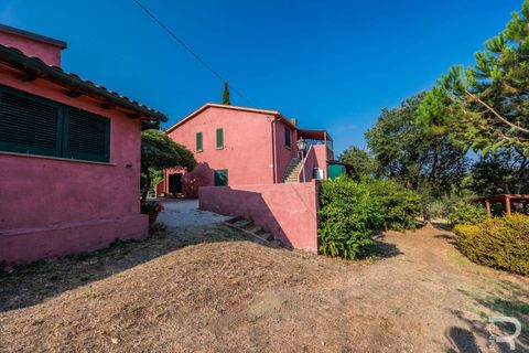 Landejendom i Bibbona, Livorno, Bibbona - € 1.750.000 | Ref: R06615BIAG-1326921 - foto 29
