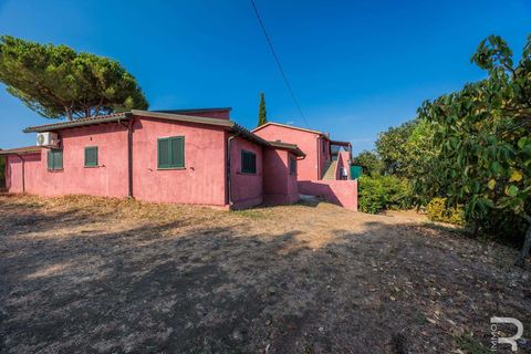 Landejendom i Bibbona, Livorno, Bibbona - € 1.750.000 | Ref: R06615BIAG-1326921 - foto 30