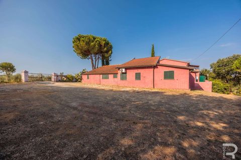 Landejendom i Bibbona, Livorno, Bibbona - € 1.750.000 | Ref: R06615BIAG-1326921 - foto 31