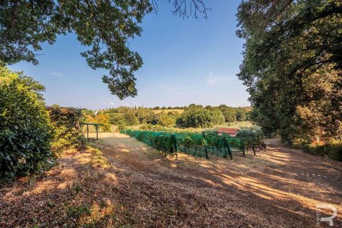 Landejendom i Bibbona, Livorno, Bibbona - € 1.750.000 | Ref: R06615BIAG-1326921 - foto 34