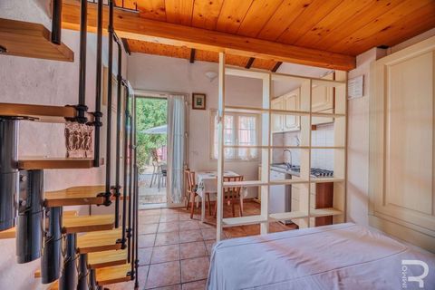 Landejendom i Bibbona, Livorno, Bibbona - € 1.750.000 | Ref: R06615BIAG-1326921 - foto 46