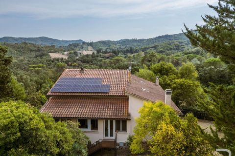 Villa i Rosignano Marittimo, Livorno, Rosignano Marittimo - € 1.300.000 | Ref: R06613ROVI-1326996 - foto 3