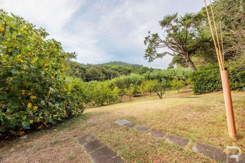 Villa i Rosignano Marittimo, Livorno, Rosignano Marittimo - € 1.300.000 | Ref: R06613ROVI-1326996 - foto 23