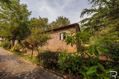 Villa i Rosignano Marittimo, Livorno, Rosignano Marittimo - € 1.300.000 | Ref: R06613ROVI-1326996 - foto 29