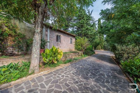 Villa i Rosignano Marittimo, Livorno, Rosignano Marittimo - € 1.300.000 | Ref: R06613ROVI-1326996 - foto 30