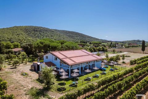 Landejendom i Grosseto, Grosseto, Grosseto - € 2.700.000 | Ref: R06580GRAG-1327223 - foto 5