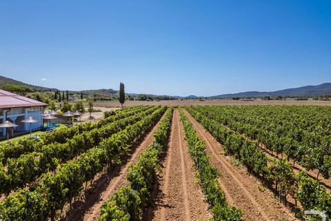 Landejendom i Grosseto, Grosseto, Grosseto - € 2.700.000 | Ref: R06580GRAG-1327223 - foto 6