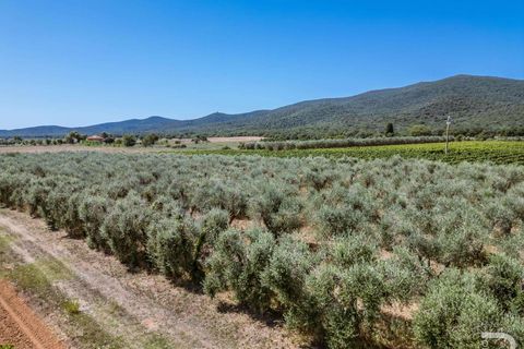 Landejendom i Grosseto, Grosseto, Grosseto - € 2.700.000 | Ref: R06580GRAG-1327223 - foto 7