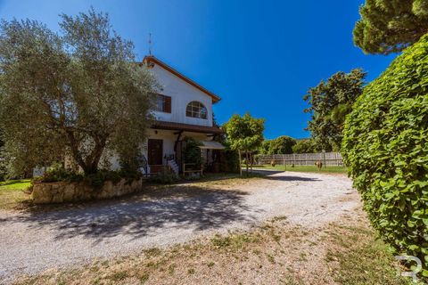Landejendom i Grosseto, Grosseto, Grosseto - € 2.700.000 | Ref: R06580GRAG-1327223 - foto 19