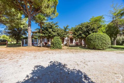 Landejendom i Grosseto, Grosseto, Grosseto - € 2.700.000 | Ref: R06580GRAG-1327223 - foto 27