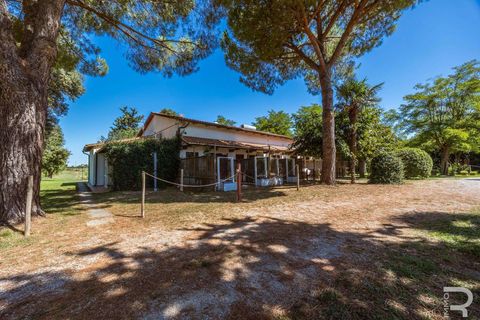 Landejendom i Grosseto, Grosseto, Grosseto - € 2.700.000 | Ref: R06580GRAG-1327223 - foto 28