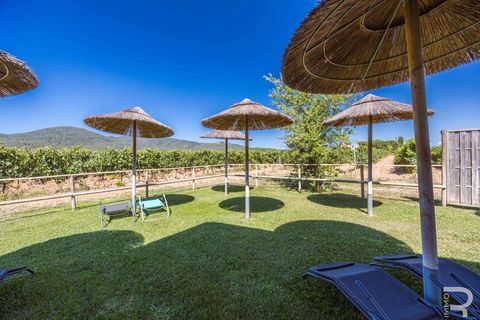 Landejendom i Grosseto, Grosseto, Grosseto - € 2.700.000 | Ref: R06580GRAG-1327223 - foto 40