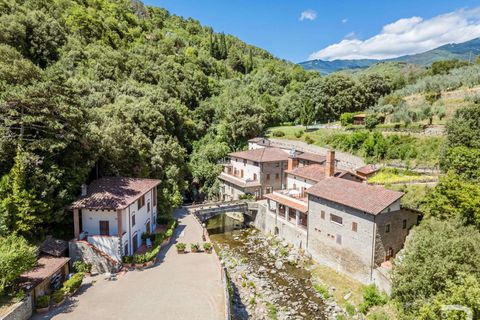 Farm hus i Loro Ciuffenna, Arezzo, Loro Ciuffenna - € 3.300.000 | Ref: R06572LOCA-1327413 - foto 6