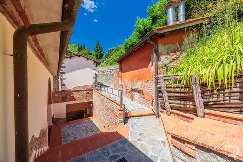 Farm hus i Loro Ciuffenna, Arezzo, Loro Ciuffenna - € 3.300.000 | Ref: R06572LOCA-1327413 - foto 38