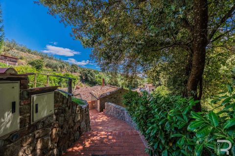 Farm hus i Loro Ciuffenna, Arezzo, Loro Ciuffenna - € 3.300.000 | Ref: R06572LOCA-1327413 - foto 40