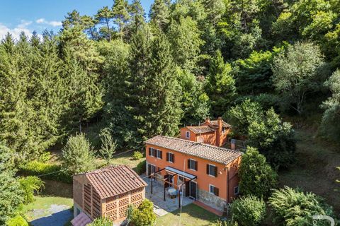 Farm hus i Pescia, Pistoia, Pescia - € 570.000 | Ref: R06575PECA-1327464 - foto 3