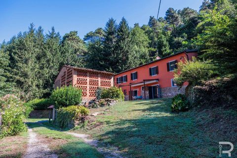 Farm hus i Pescia, Pistoia, Pescia - € 570.000 | Ref: R06575PECA-1327464 - foto 11