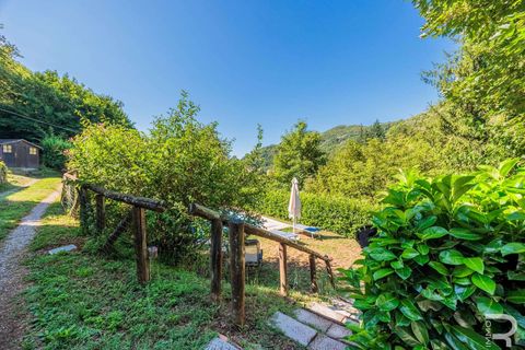 Farm hus i Pescia, Pistoia, Pescia - € 570.000 | Ref: R06575PECA-1327464 - foto 15
