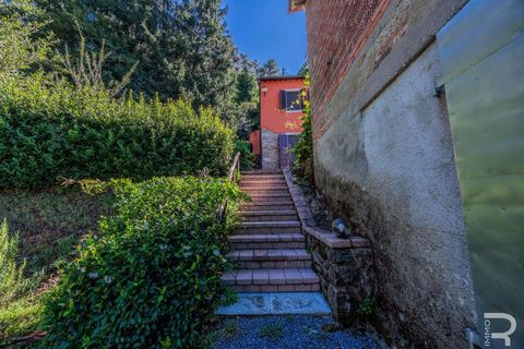 Farm hus i Pescia, Pistoia, Pescia - € 570.000 | Ref: R06575PECA-1327464 - foto 20