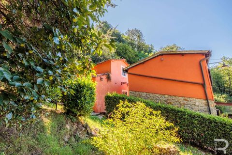 Farm hus i Pescia, Pistoia, Pescia - € 570.000 | Ref: R06575PECA-1327464 - foto 22